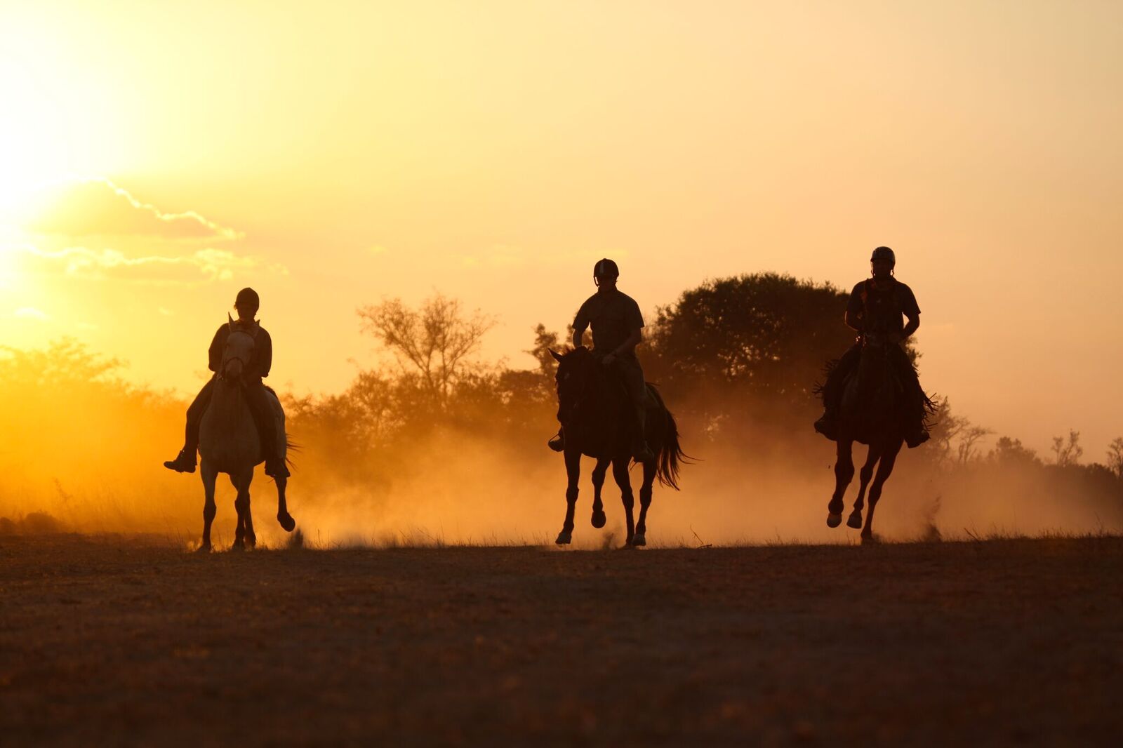 horse riding tours africa