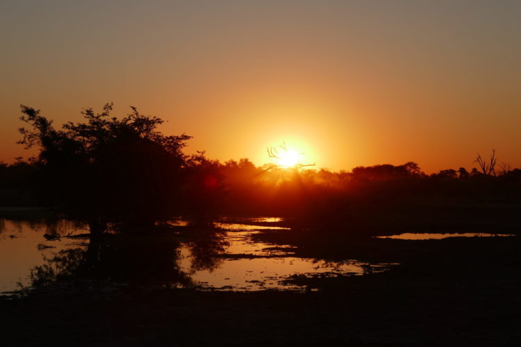 botswana's delta, okavango delta, botswana, botswana safari