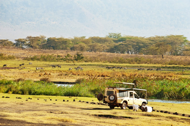 ngorongoro crater, game drive, the manor ngorongoro, ngorongoro safaris, crater safaris, tanzania