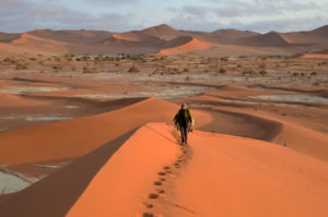 climbing desert sand dune sossusvlei