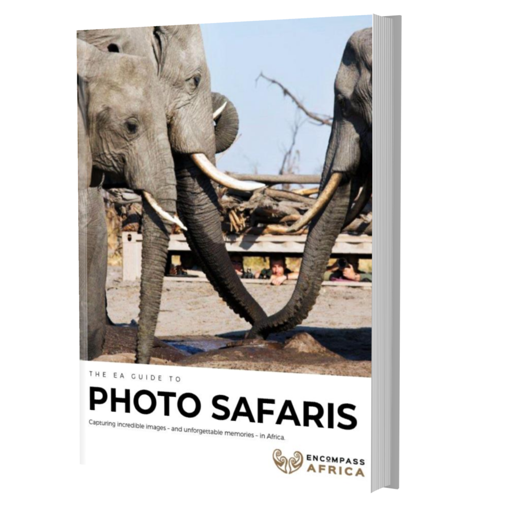 photo-safari-thumbnail