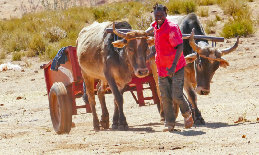 local life rural life Lesotho