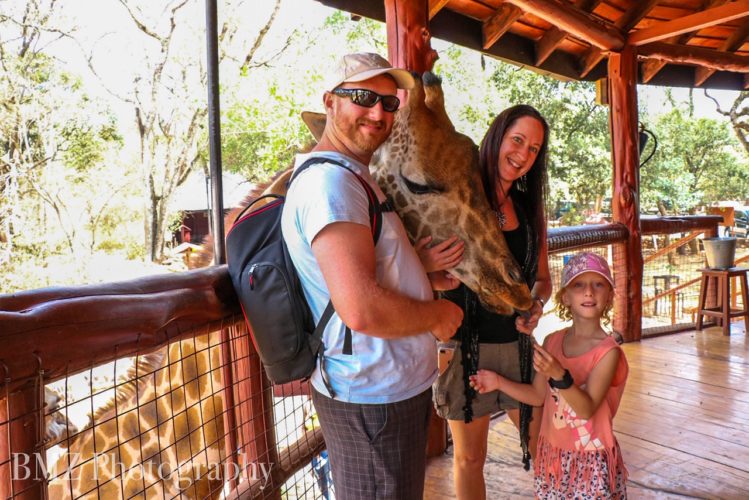 Family safari-singleton-family