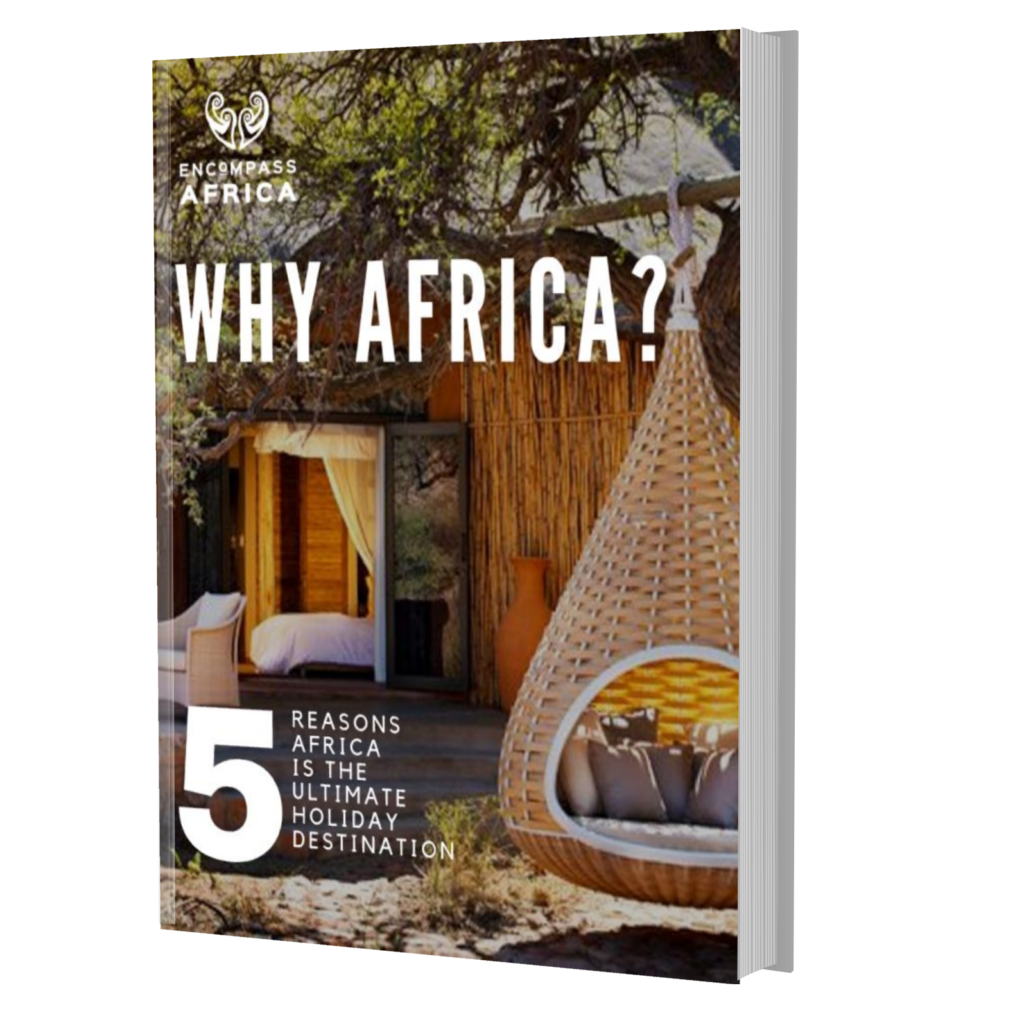 why africa ebook thumbnail