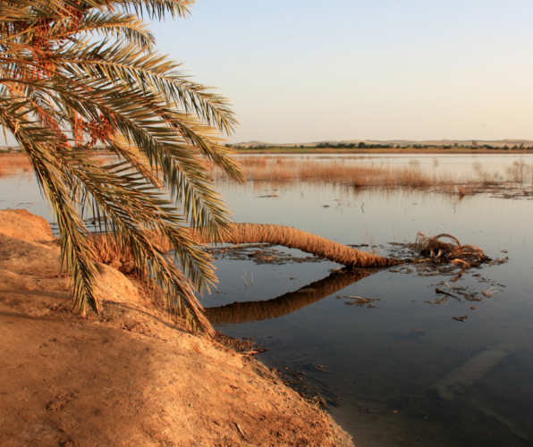 siwa oasis, egypt