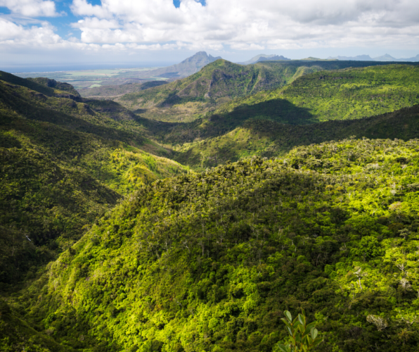 Black river gorges mauritius canva image
