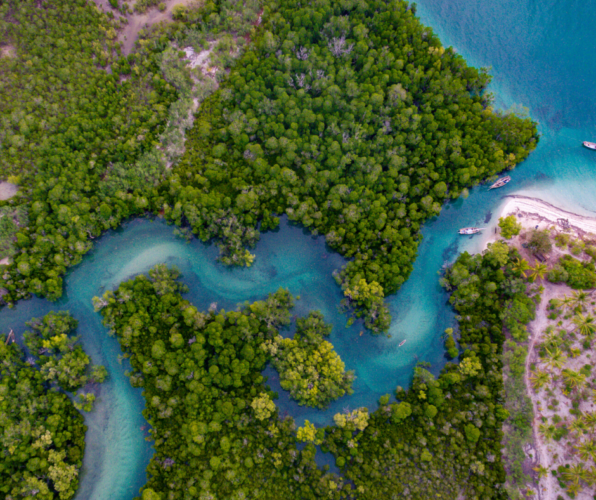 Mafia island mangroves and waterways zanzibar canva image