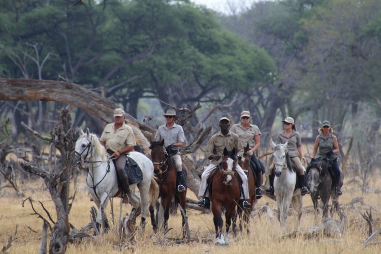 hwange horseback safaris