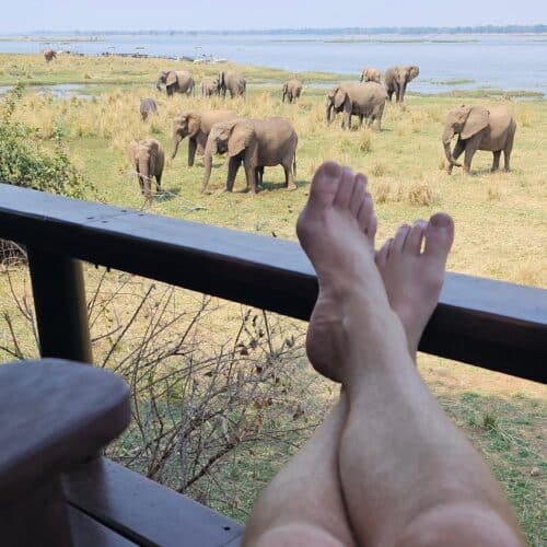 Elephants Boertje safari Zambia 2023