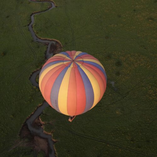 serengeti ballooning