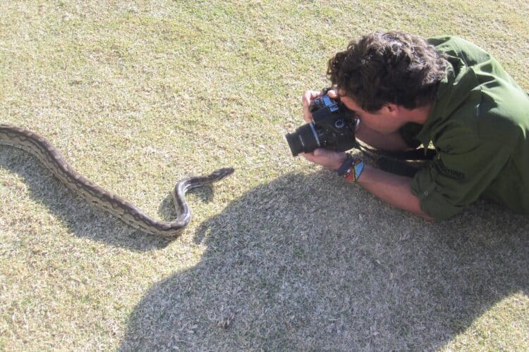 Namibia photographic safari ultimate safaris image