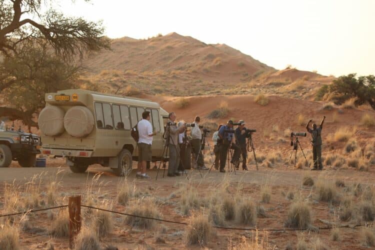 Namibia photographic safari ultimate safaris image