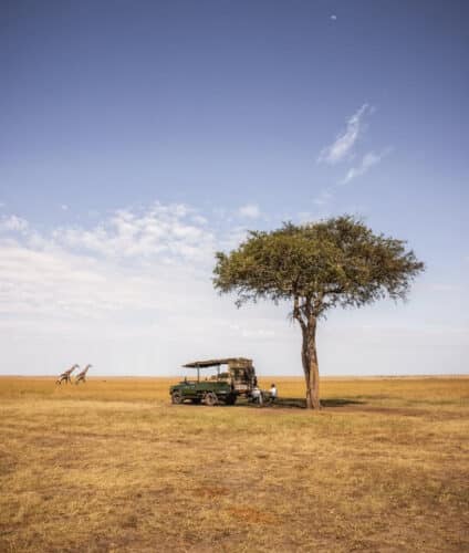 safari game drive Serengeti Tanzania elewana