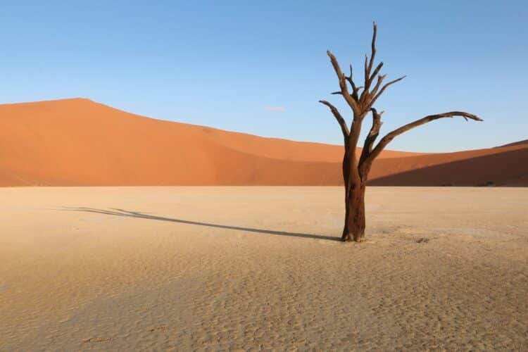 Namibia photographic safari ultimate safaris image