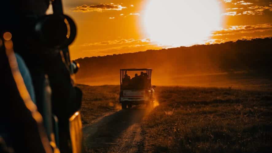 Dennis King Mpofu Big Dee Wild Photography Zimbabwe photographic safari