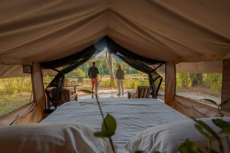 kitsch forest camp tent kenya