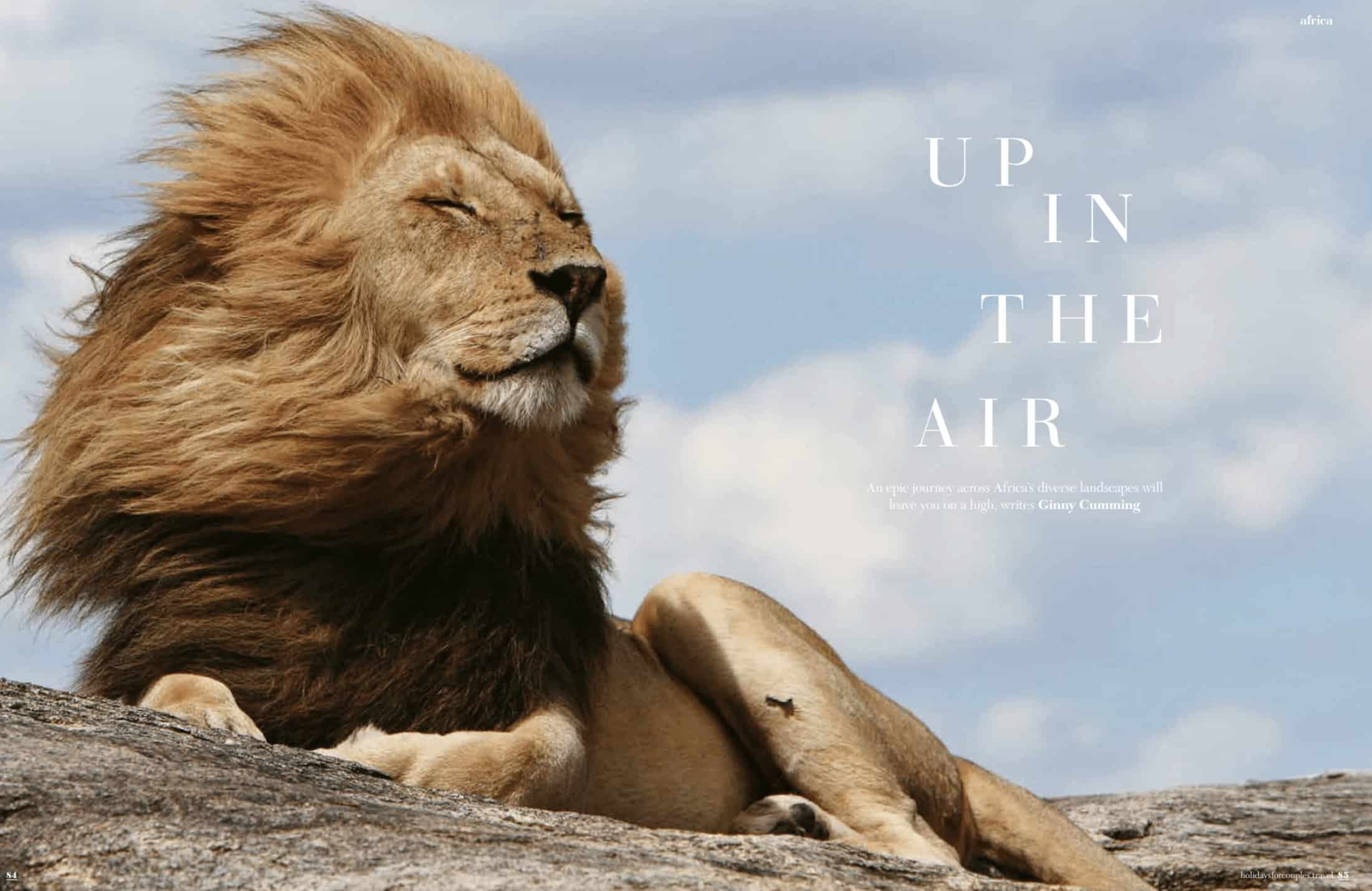 Up in the air media article cover