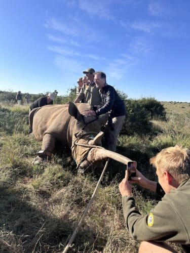 Kwandwe rhino conservation experience