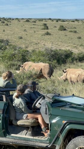 mother and calf united Kwandwe rhino conservation experience