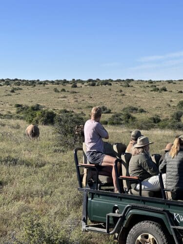 she's off Kwandwe rhino conservation experience