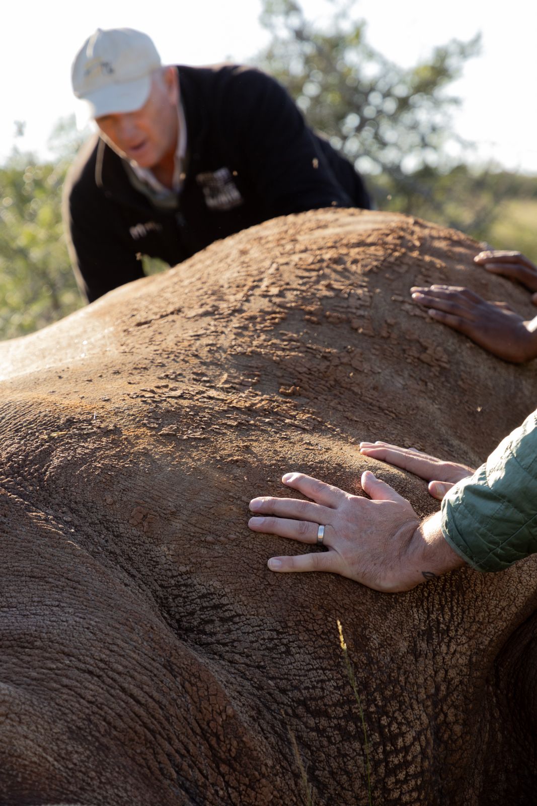 Kwandwe rhino experience photo by Dan from USA 