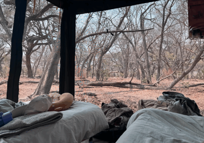 Family safari Botswana Zimbabwe 2024 Vickery