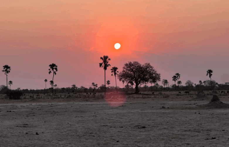 Family safari Botswana Zimbabwe 2024 Vickery