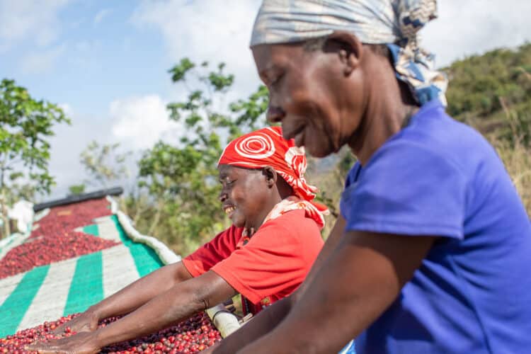 coffee plantation experience at Gorongosa safaris bush and beach safari Mozambique