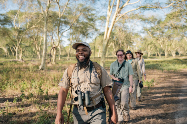 walking safari Gorongosa safaris game drive classic portfolio 2025
