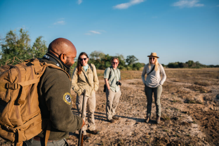 Gorongosa safaris game drive classic portfolio 2025 walking safari with guide and guests