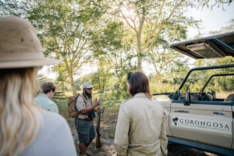 Gorongosa safaris game drive classic portfolio 2025