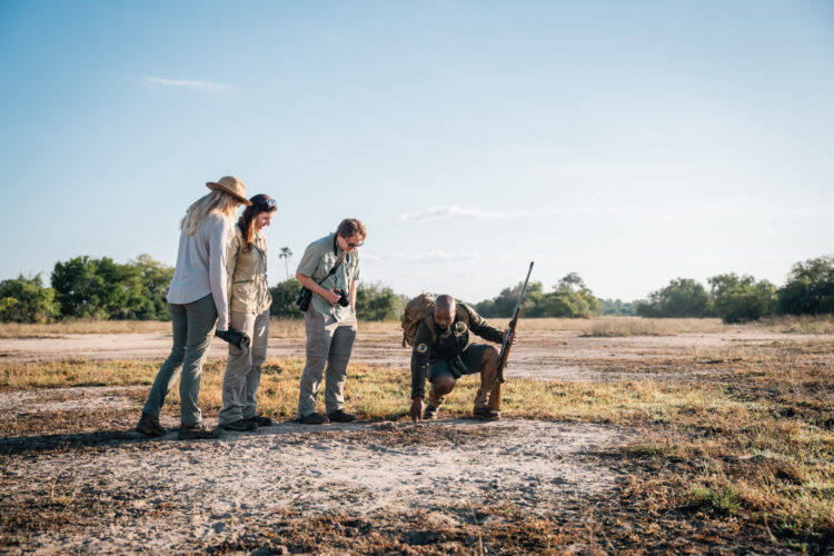 Gorongosa safaris game drive classic portfolio 2025 walking safari