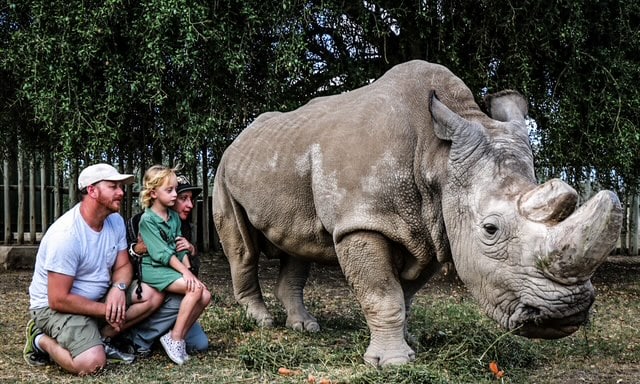 rhino conservation singleton family dad and daughter with rhino