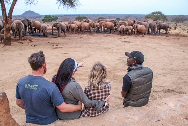 Singleton family safari changed lives