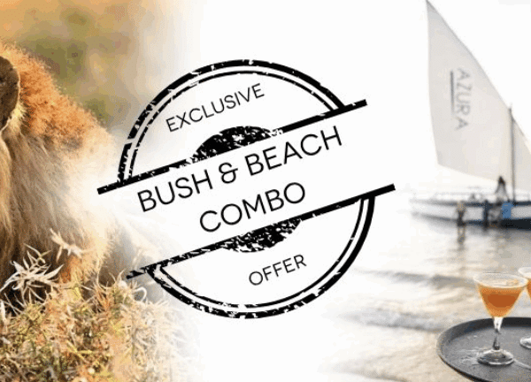 bush and beach safari mozambique