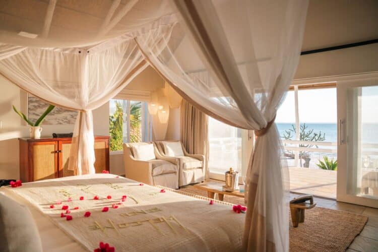 Azura Marlin Beach Mozambique bush and beach safari Mozambique classic portfolio special 2025 released for 2026