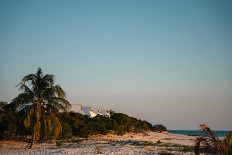 Azura Marlin Beach Mozambique bush and beach safari Mozambique classic portfolio special 2025 released for 2026