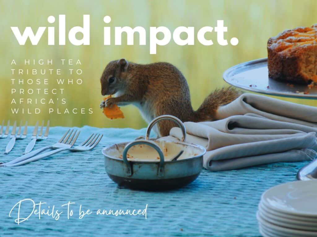 WILD IMPACT: A high tea to showcase, celebrate and support the people and organisations protecting Africa’s wilderness, wildlife and communities.