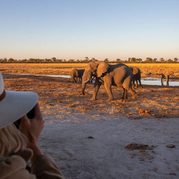 Camp Hwange Wild Expeditions