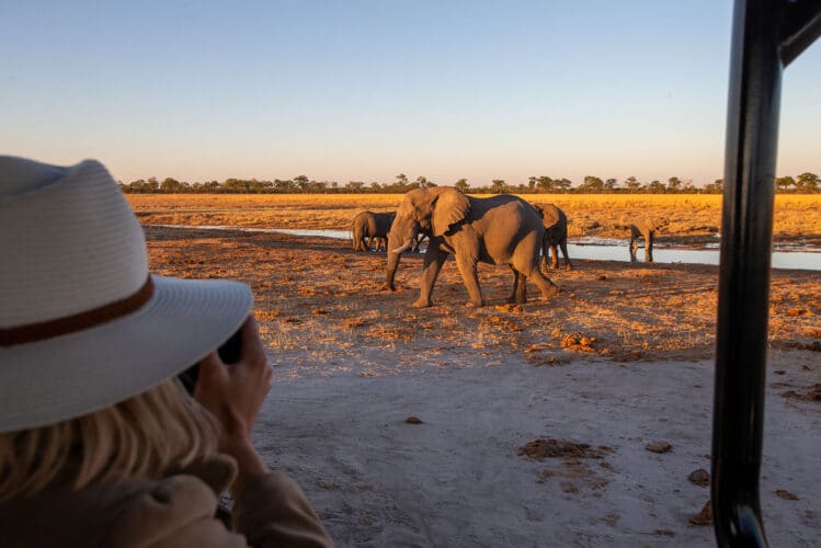 Camp Hwange Wild Expeditions