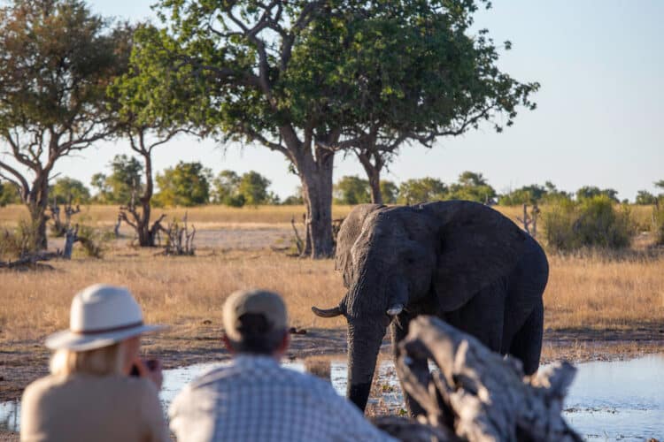 hide Camp Hwange Wild Expeditions