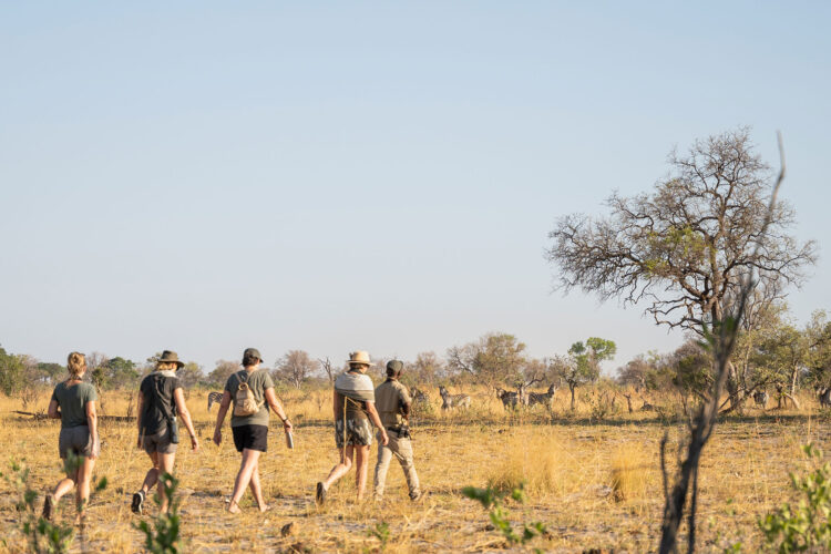 Camp Karangoma Okavango Delta Wild Expeditions community conservation great green season special