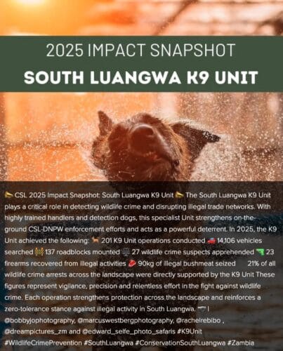 Conservation South Luangwa impact in 2025. Hearten Africa Encompass Africa