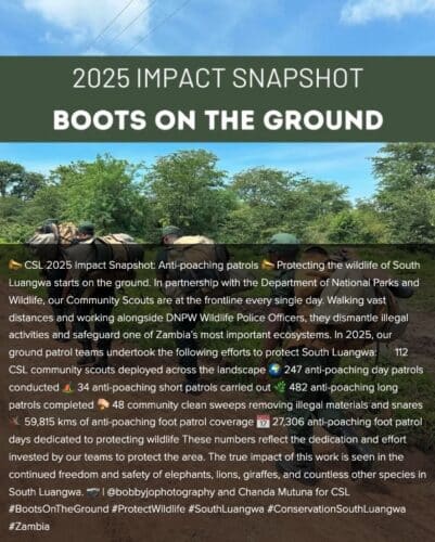 Conservation South Luangwa impact in 2025. Hearten Africa Encompass Africa