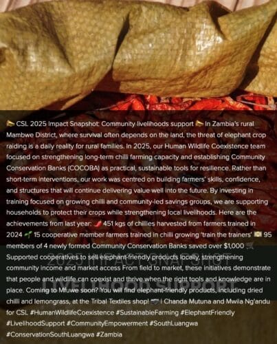 Conservation South Luangwa impact in 2025. Hearten Africa Encompass Africa