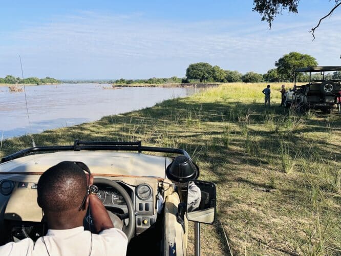 your safari guide is everythingDW safari Zambia 2024