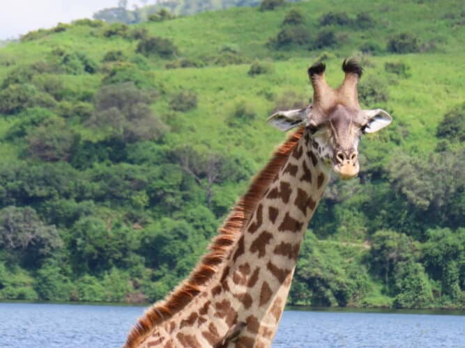Sally Hines mother and daughter tanzania safari review private guide tanzania Hadzabe tribe visit giraffe in serengeti