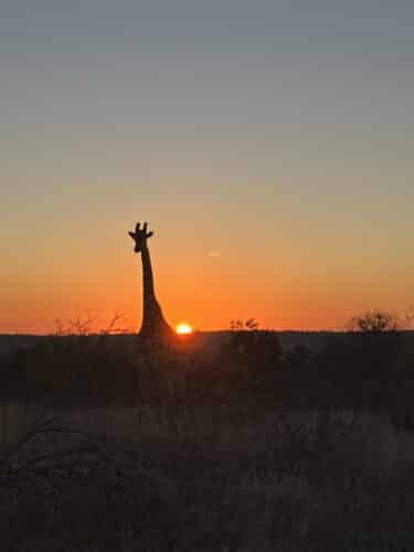 Henderson Family, Rebecca and Mark with their five boys family safari Southern Africa Victoria Falls Okavango Delta South Africa Kruger