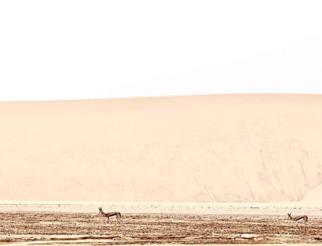 skeleton coast national park namibia danica trip 2023 namibia safari