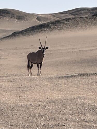 skeleton coast national park namibia danica trip 2023